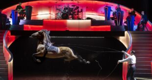 les-folies-gruss-paris-spectacle-equetre-cirque-famille-sortie-2