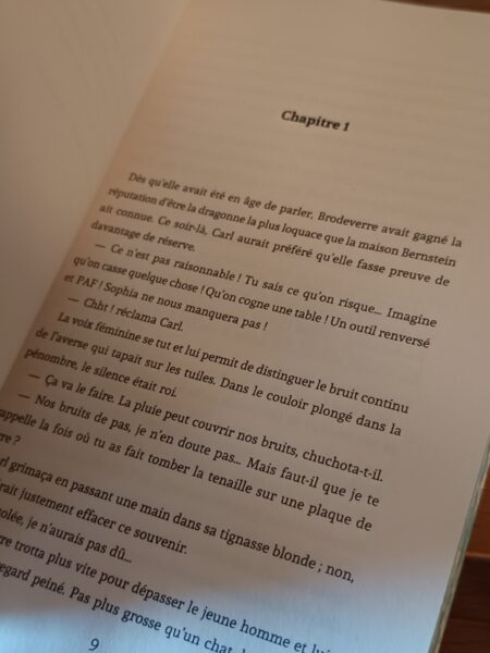 rosaces-et-dragons-slalom-cosy-fantasy-ielenna-avis-chronique-review-6