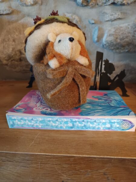 rosaces-et-dragons-slalom-cosy-fantasy-ielenna-avis-chronique-review-7