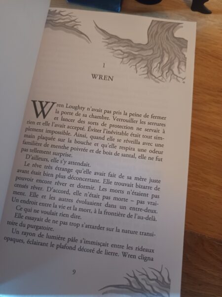 immortal-consequences-pocket-jeunesse-chronique-review-avis-5