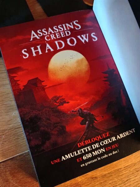 assassins-creed-shadow-les-legendes-d-iga-ubisoft-mana-books-avis-chronique-3
