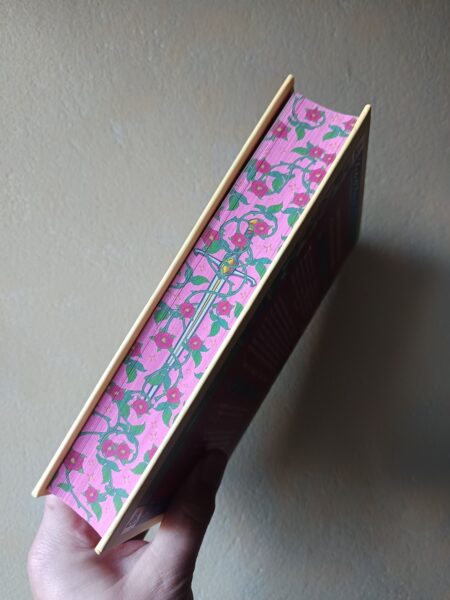 la-revanche-d-une-princesse-cait-jacobs-de-saxus-fantasy-young-adult-avis-review-7