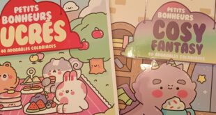 petits-bonheurs-sucres-cosy-fantasy-beckycas-404-editions-coloriage-avis-1