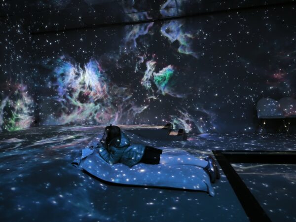 cite-immersive-des-fables-la-fontaines-avis-idee-sortie-review-11