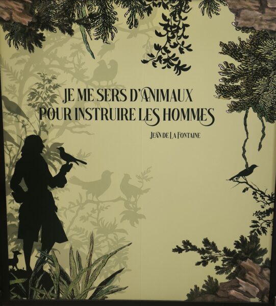 cite-immersive-des-fables-la-fontaines-avis-idee-sortie-review-8