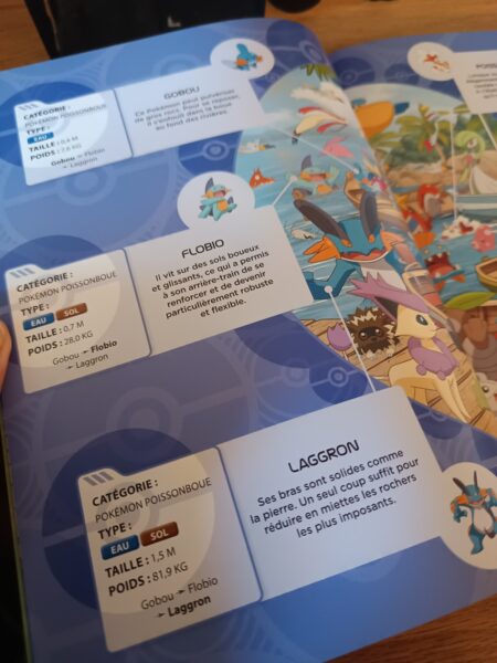 mon-geantisime-guide-cherche-et-trouve-pokemon-neuf-regions-les-livres-du-draons-d-or-7