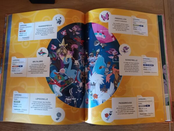 mon-geantisime-guide-cherche-et-trouve-pokemon-neuf-regions-les-livres-du-draons-d-or-9