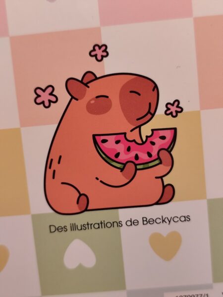 cozy-colo-beckycas-daniel-sapuppo-capybaras-trop-mignons-petits-bonheurs-feeriques-ete-404-editions-9