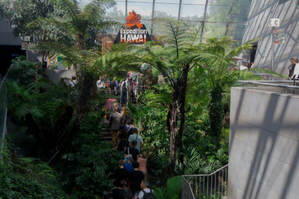 vulcania-expedition-hawai-attraction-annonce-parc-a-theme-1