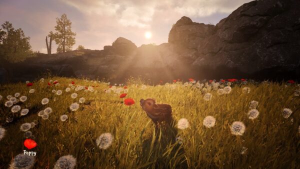 adorable-adventures-test-jeu-inde-pqube-limited-wild-sheep-studio-3