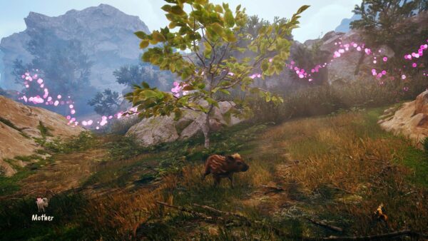 adorable-adventures-test-jeu-inde-pqube-limited-wild-sheep-studio-5