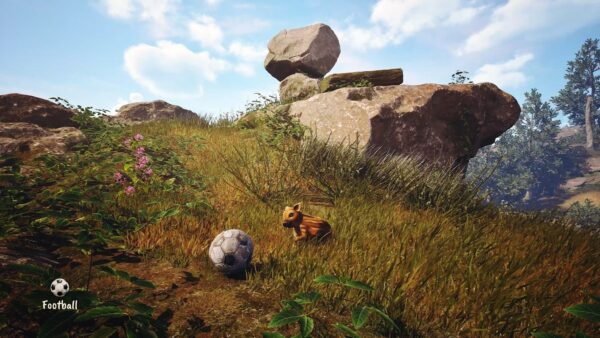 adorable-adventures-test-jeu-inde-pqube-limited-wild-sheep-studio-6