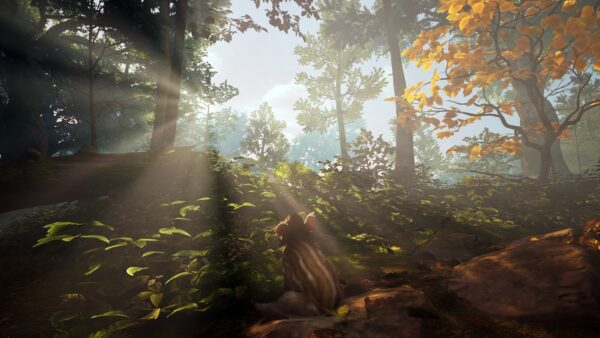 adorable-adventures-test-jeu-inde-pqube-limited-wild-sheep-studio-7