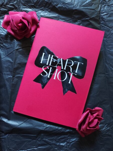heart-shot-lisa-blossom-slalom-romance-avis-review-chronique-3